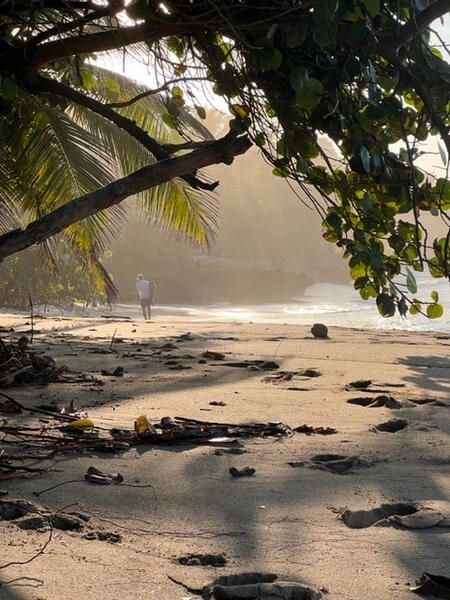Vacation Rental in Sosúa / Cabarete, Dominican Republic — Ocean Front Villa with Pool